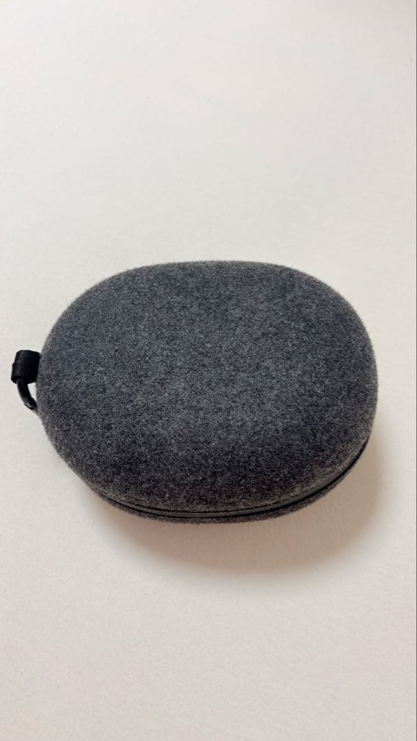 Beats Solo Pro ケース付き