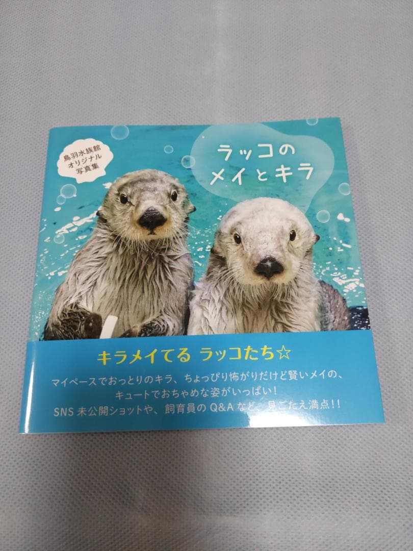 鳥羽水族館　ラッコのメイとキラ　写真集
