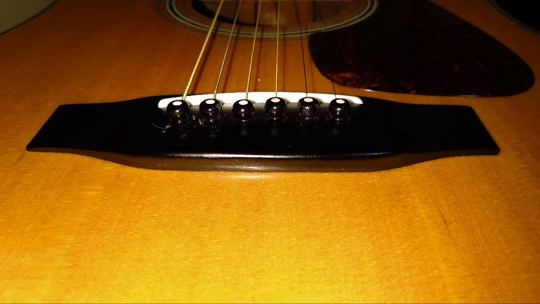 MORRIS TF-60 モーリス ハカランダ　アコースティックギター