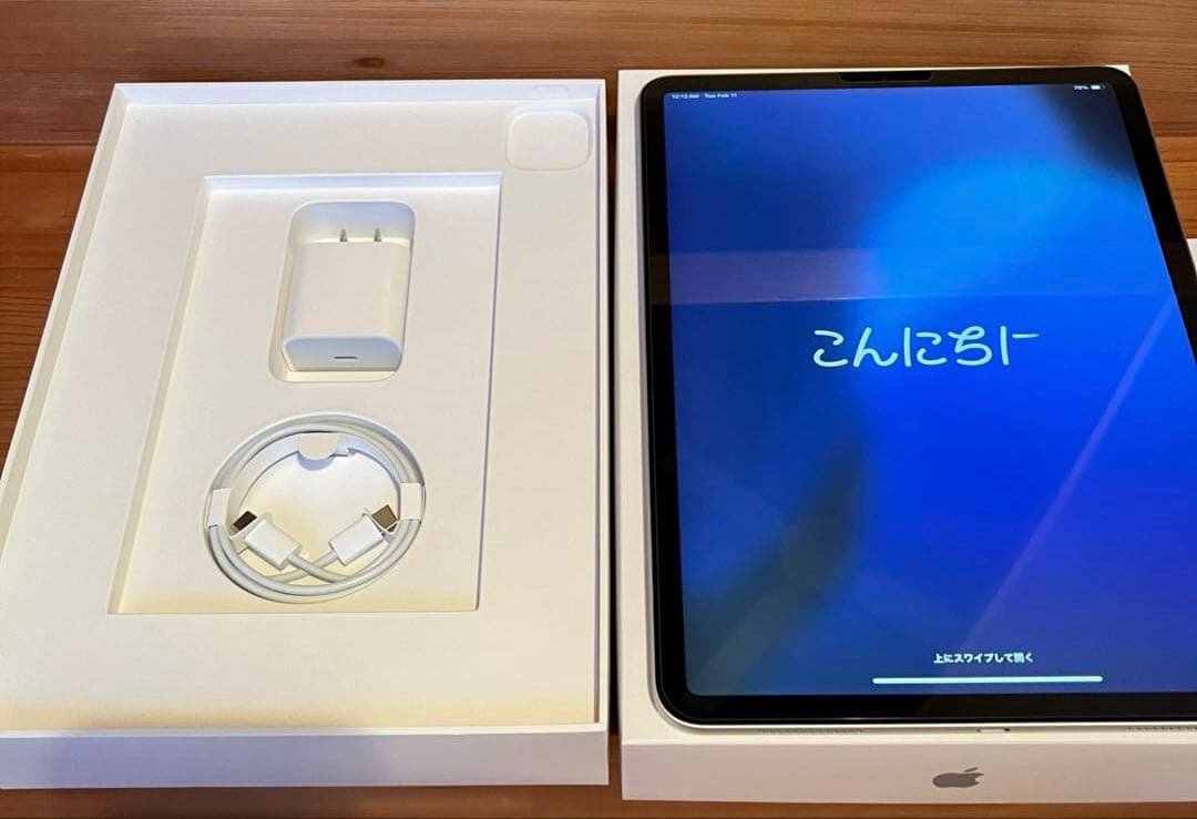 iPadPro 11インチ 256GB WiFiモデル　第2世代