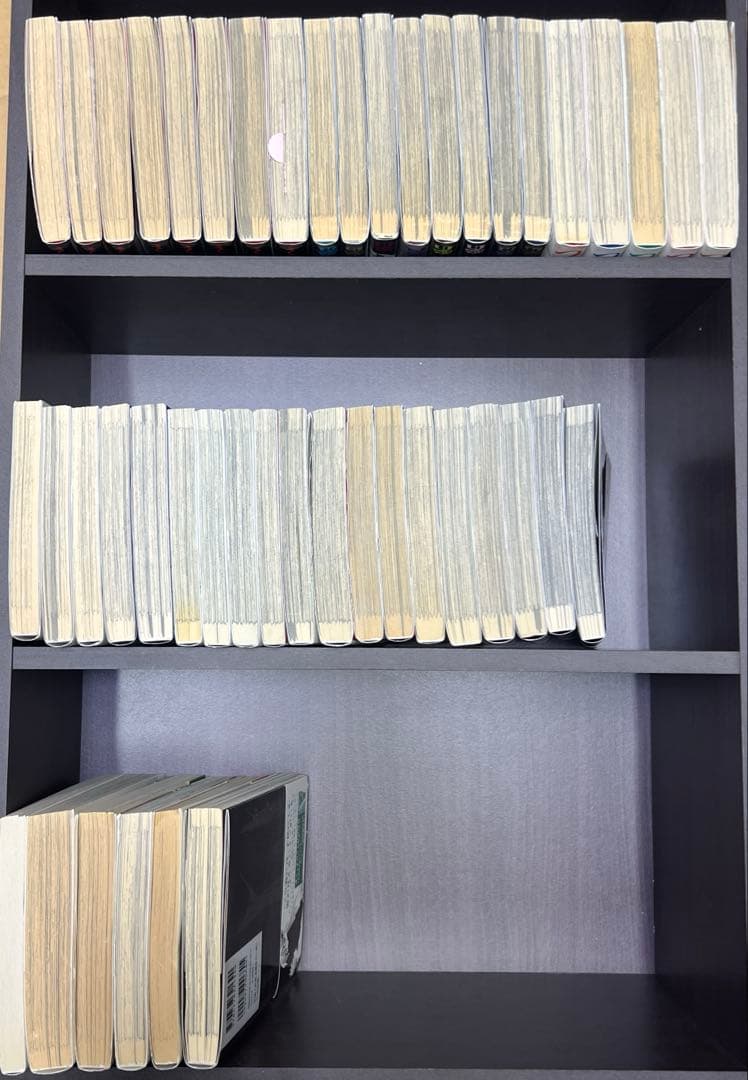 オノ・ナツメ　46冊まとめ売り　ACCA13区監察課