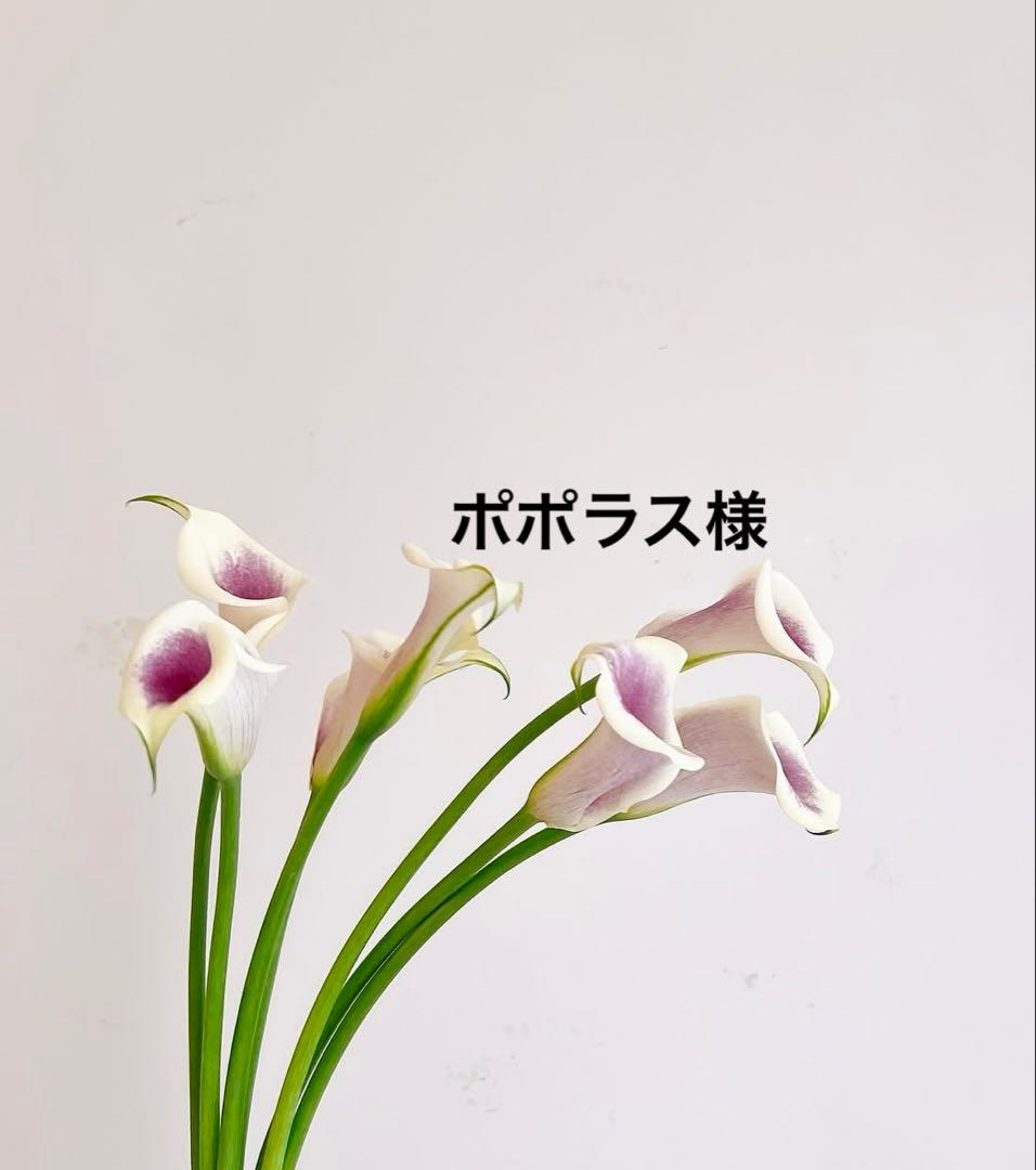 v3 プロテクションサンスクリーン　日焼け止め　スピケア　VOS