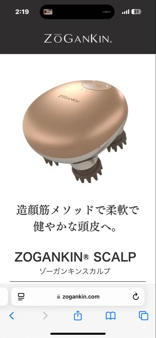 ZOGANKIN SCALP ゴールド