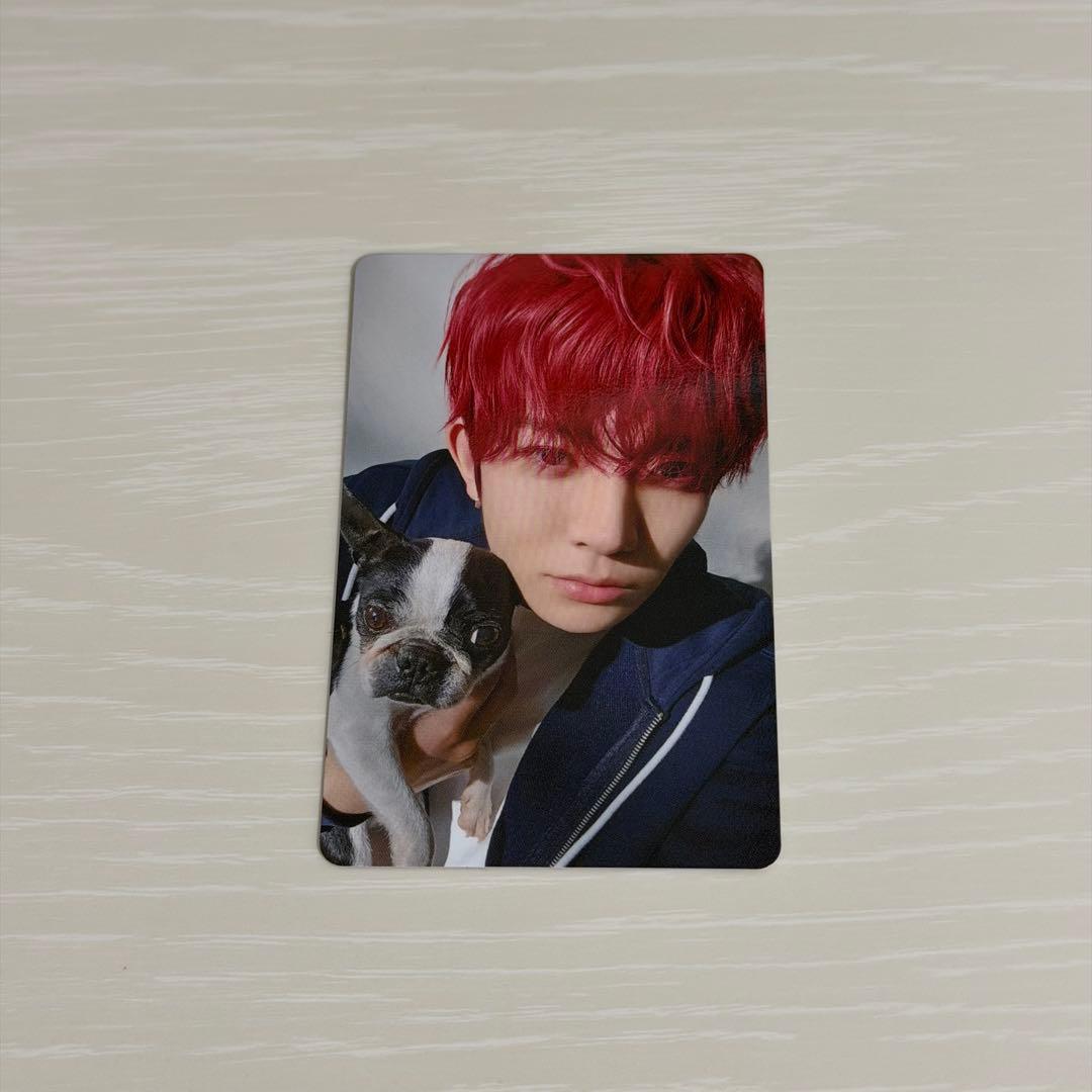 ENHYPEN ヒスン アンケートトレカ 2025