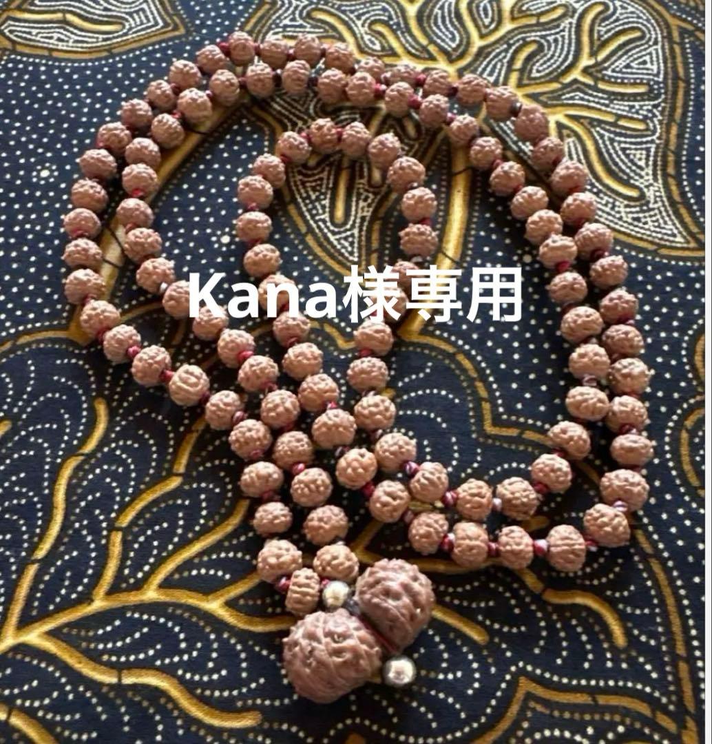 Kana　トップガウリシャンカール14ムキマーラー