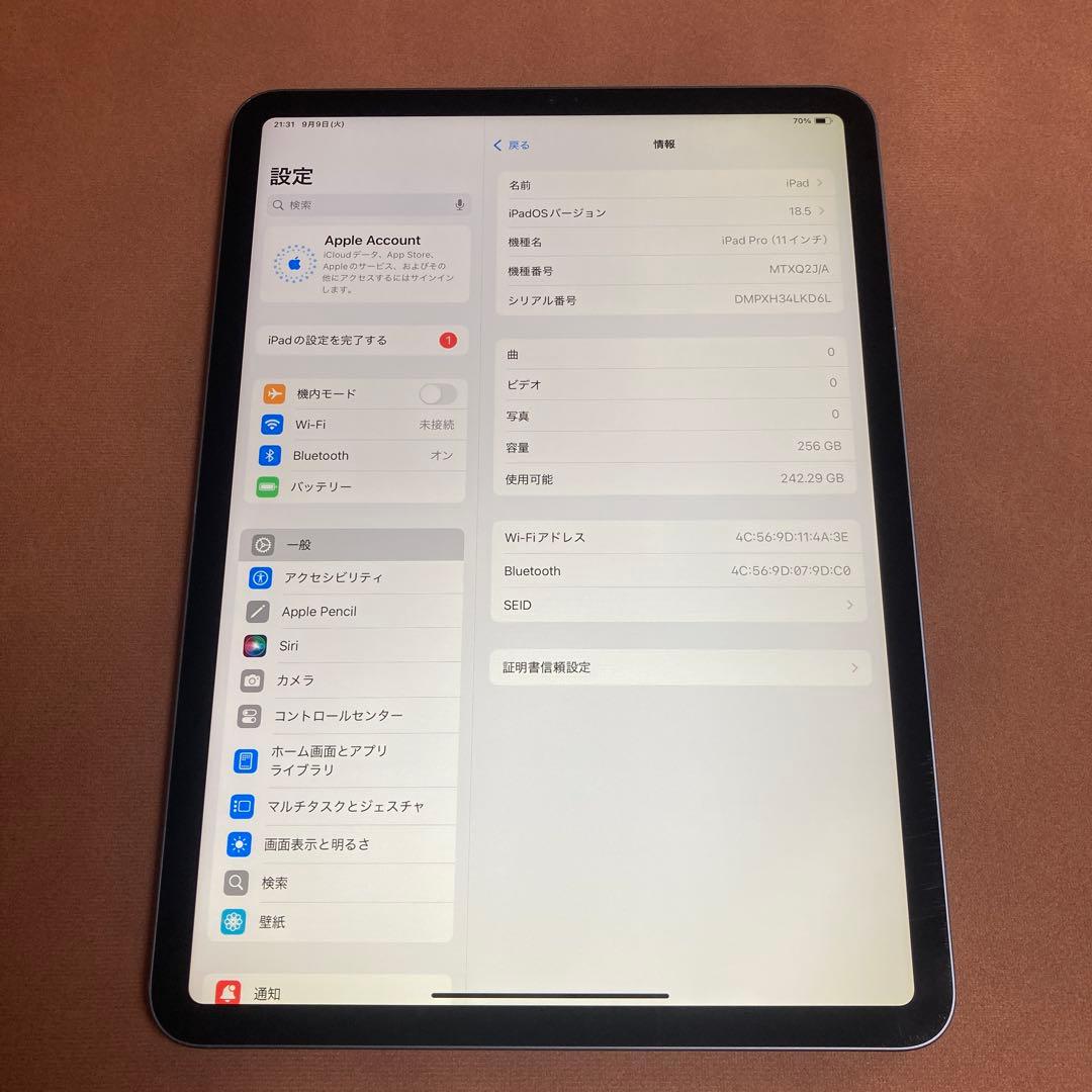 255 電池最良好☆iPad Pro 256GB 11インチ WIFIモデル☆