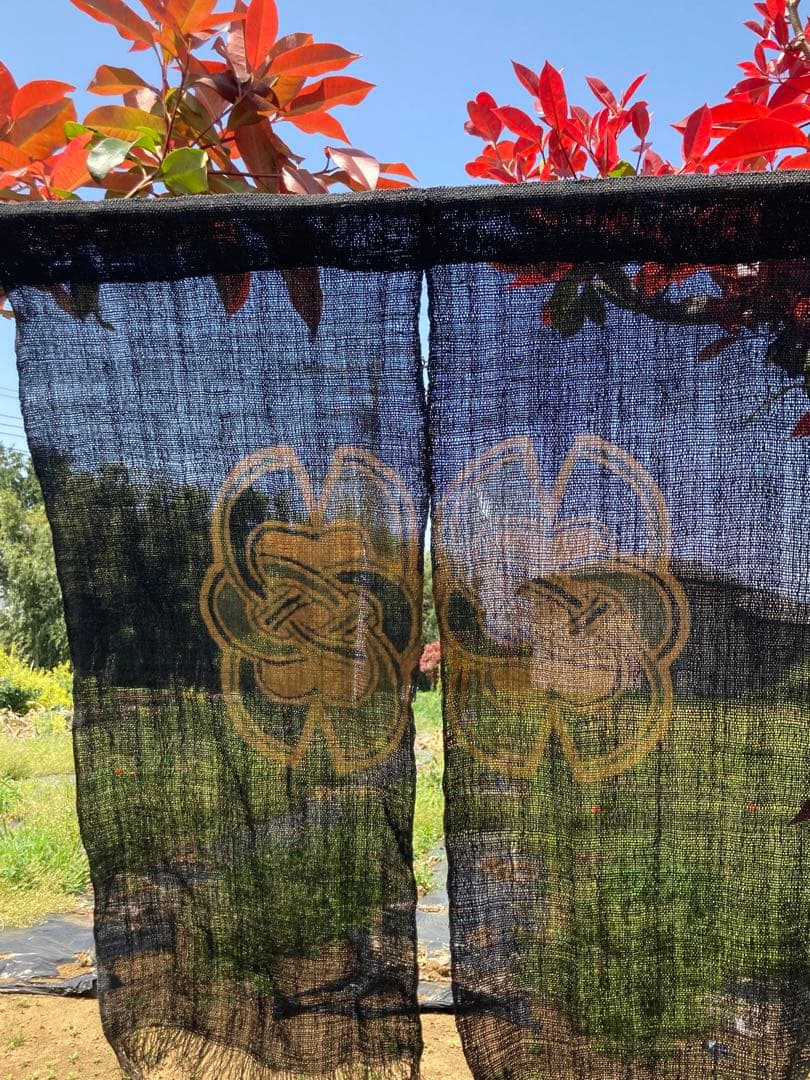 15日木曜までの出品、しな布、榀布、科布、型染め、暖簾、自然布、民藝、伝統工芸