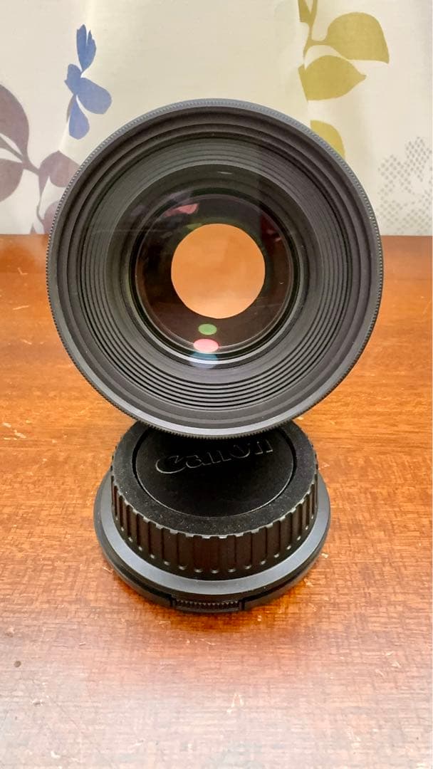 キャノンEF100mm F2.8Lマクロ IS USM