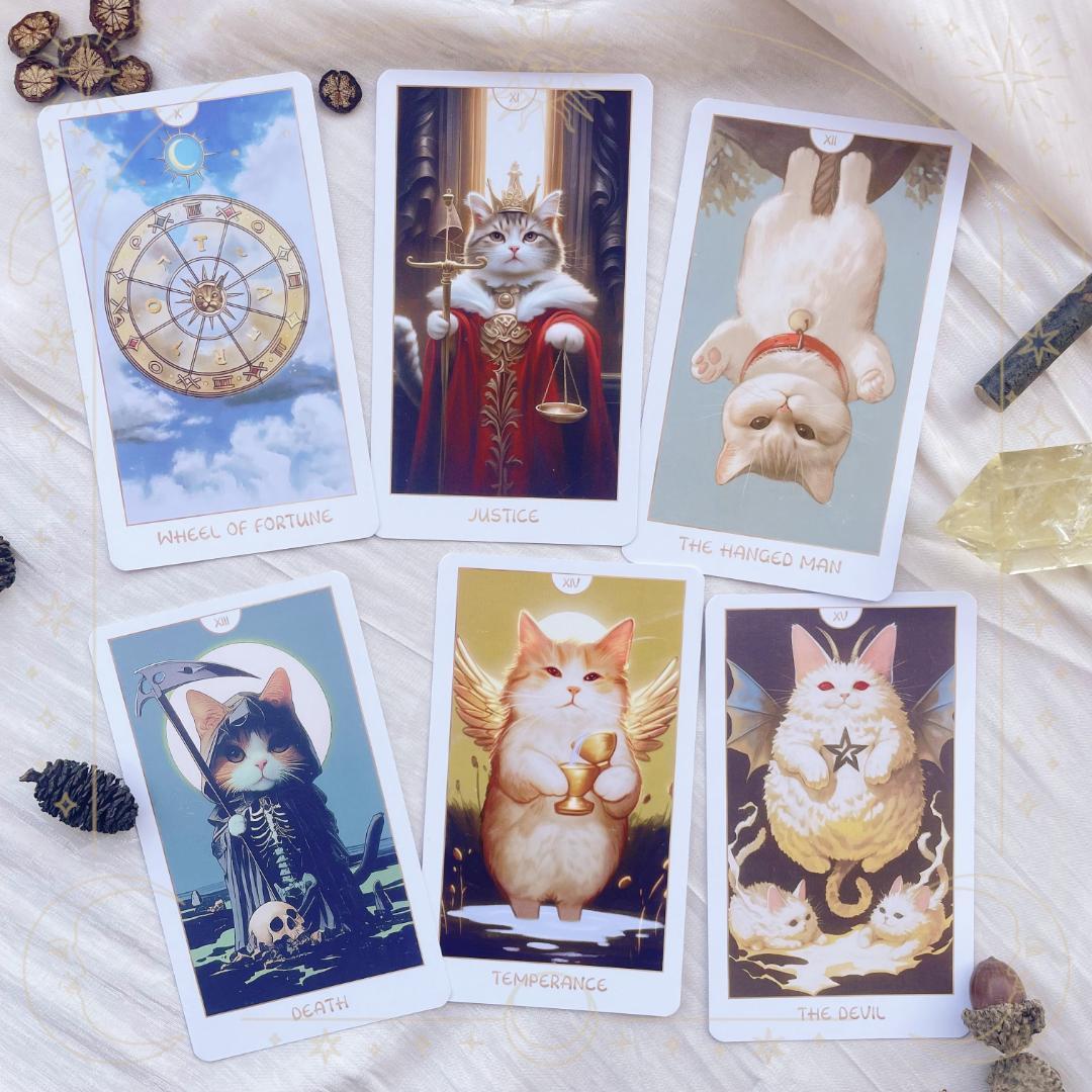 マーちゃん★タロット