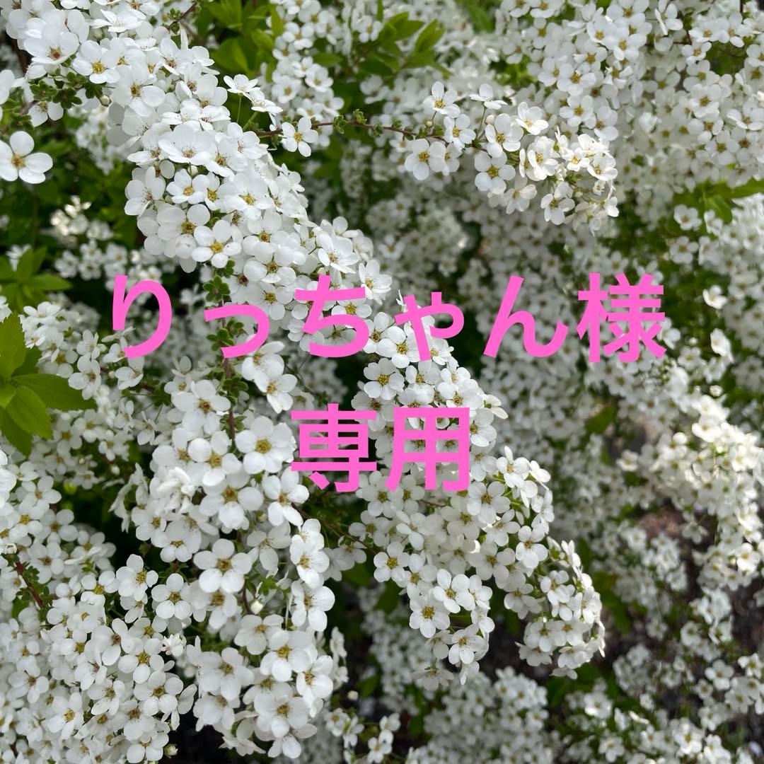 りっちゃんページ