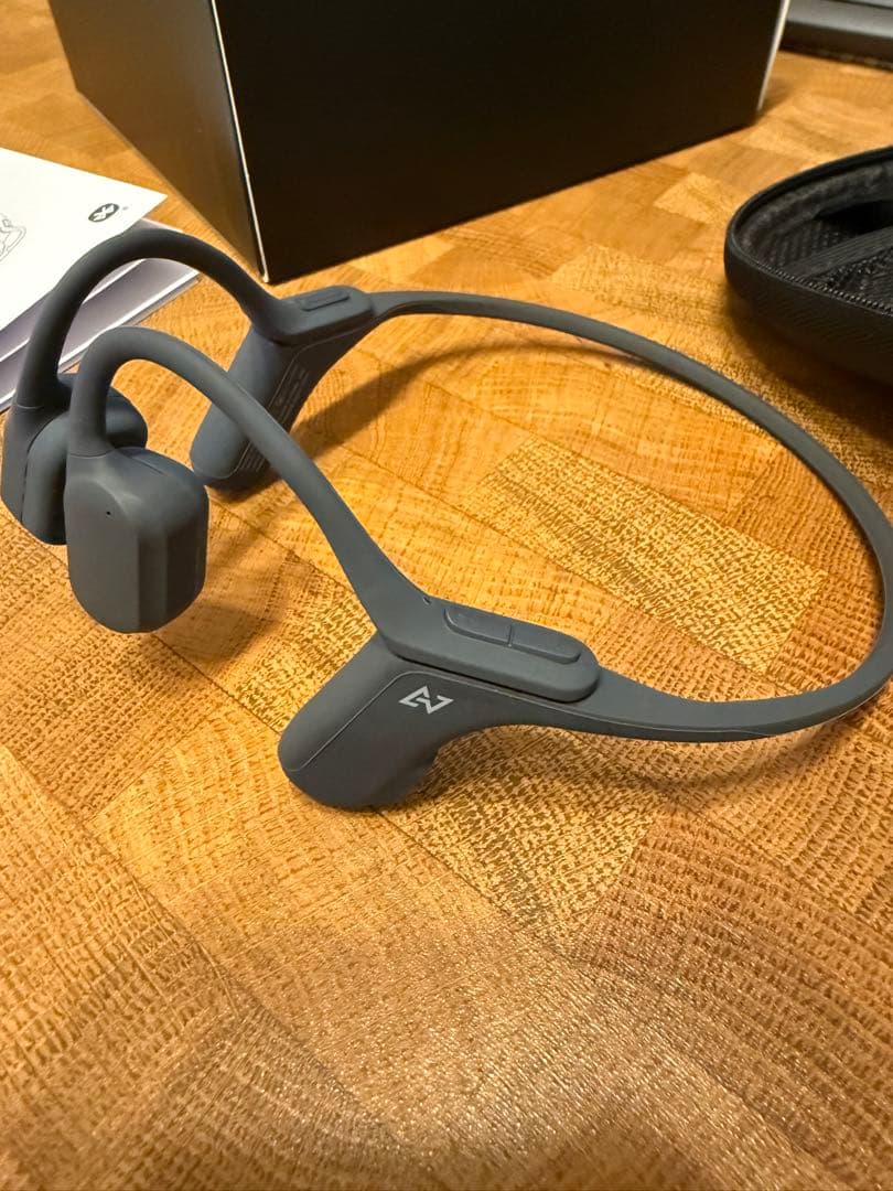 イヤホン AVIOT WB-P1