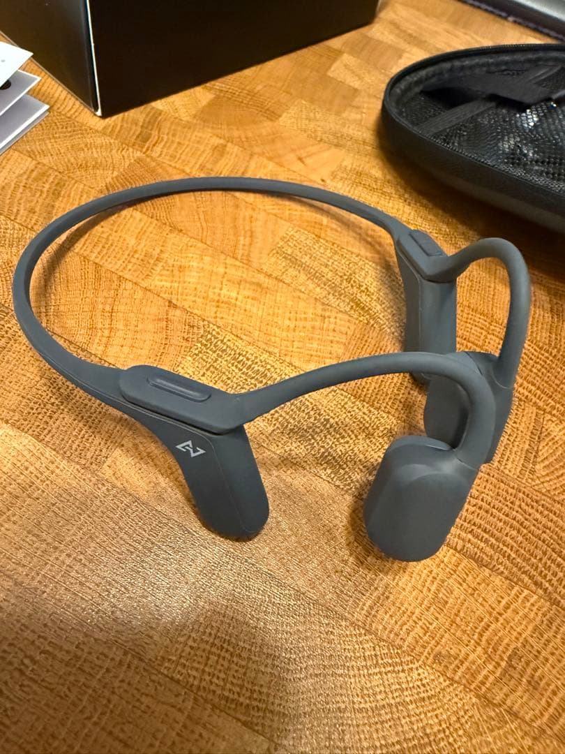 イヤホン AVIOT WB-P1