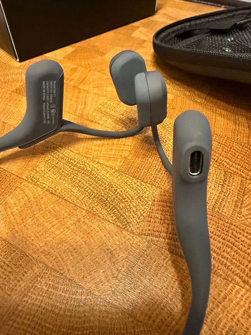 イヤホン AVIOT WB-P1