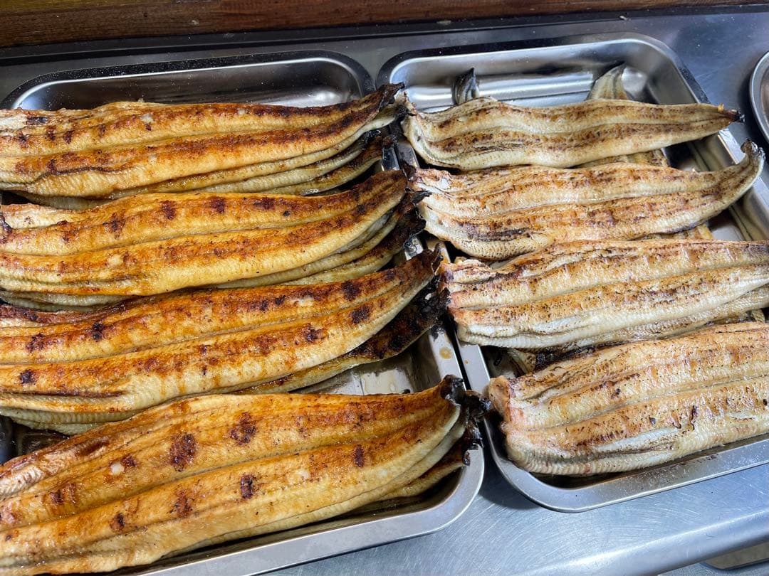 【蒲焼&白焼き】国産鰻　大サイズ×10尾　140g-170g　三河一色産うなぎ