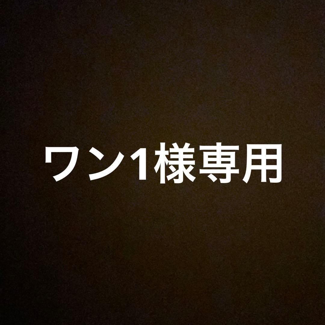 ワン13本セット