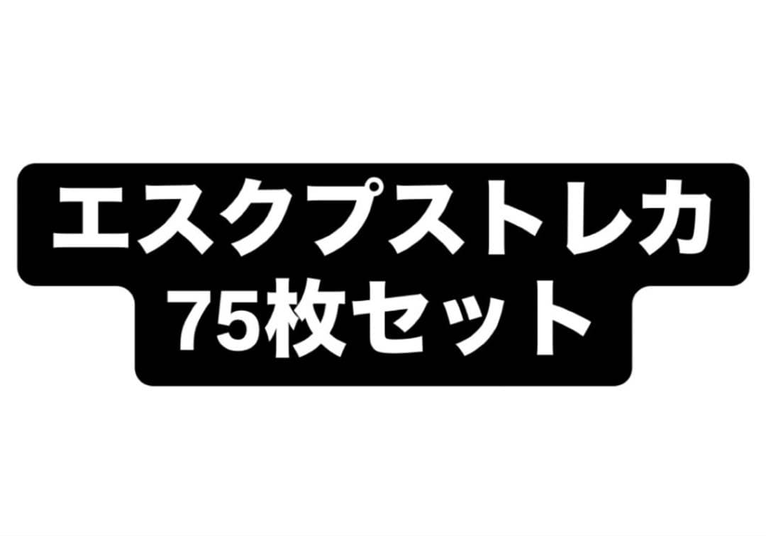 エスクプストレカセット