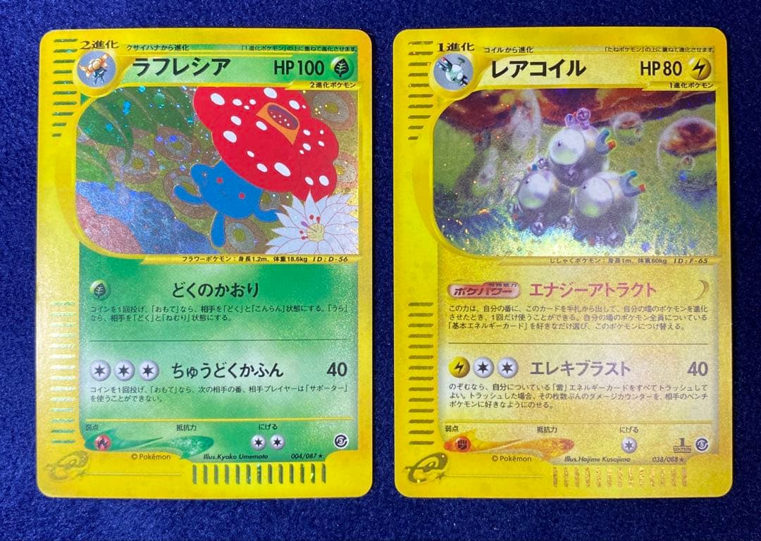 ポケモンカード　eカード　レアコイル　ラフレシア