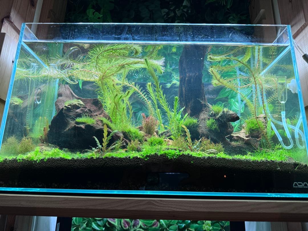 AQSpro60 LEDライト 60cm シルバー　LEDSTAR