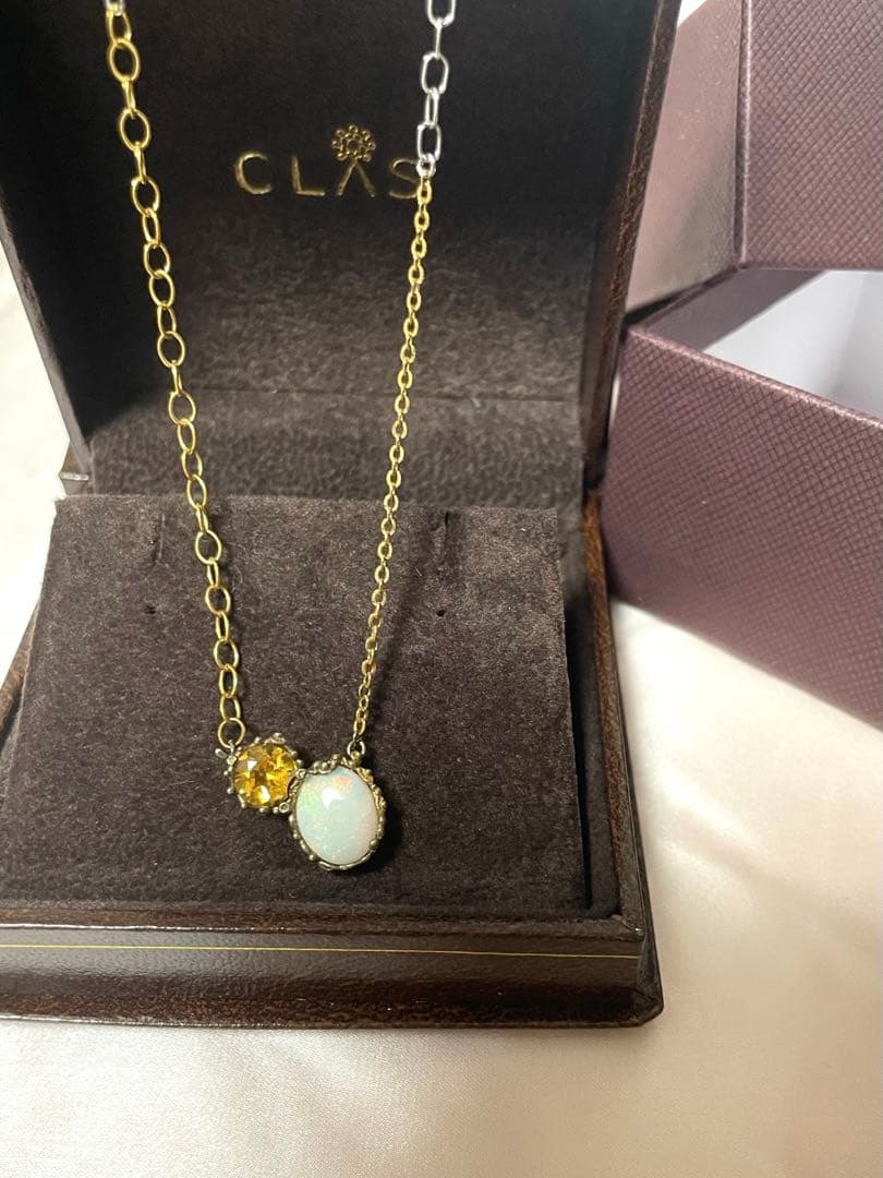 【雪村さん専用】CLAS チェーンネックレス