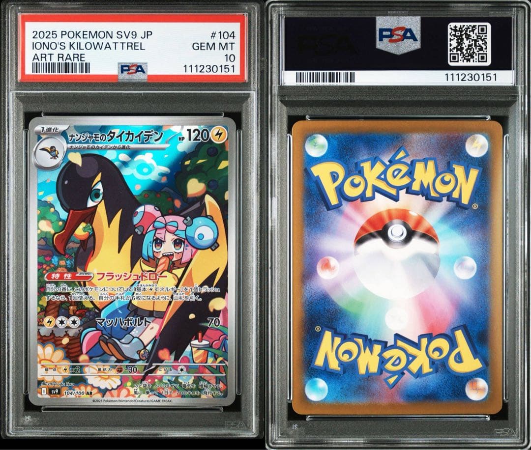 ナンジャモノのカイデン　ナンジャモノのタイカイデンPSA10 連番