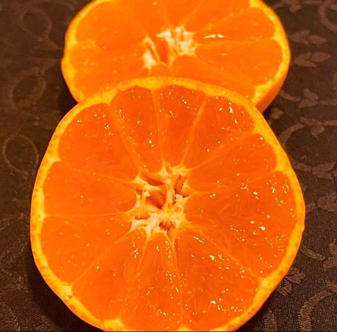 228)数量限定　甘すぎる　有田みかん　果物 　みかん　小玉　旬