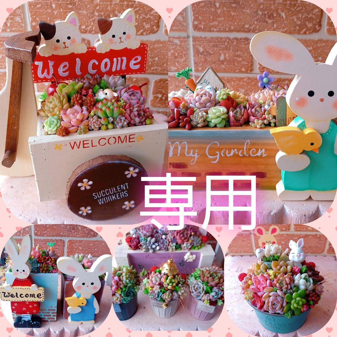 ❤️専用❤️多肉植物❤️そのまま飾れる寄せ植え❤️