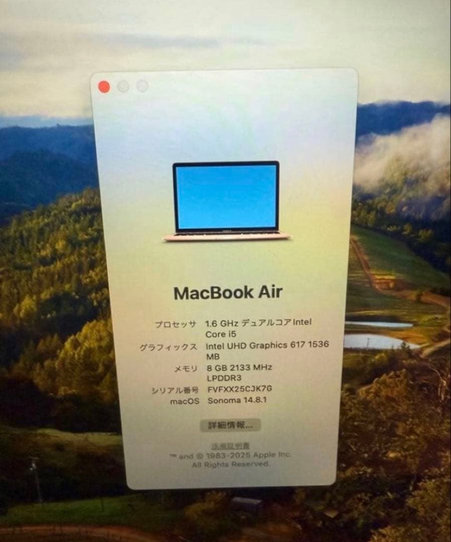 陵*汰様 激安SALE ローズゴールド MacBook Air 13インチ 25