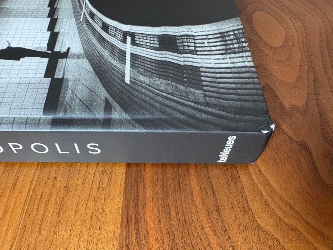 Alan Schaller Metropolis 写真集