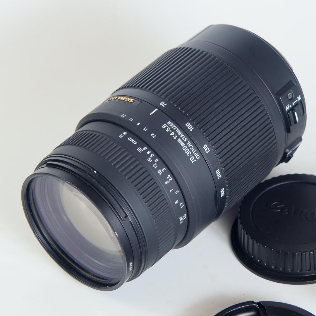 シグマ SIGMA 70-300mm F4-5.6 DG OS キャノン用