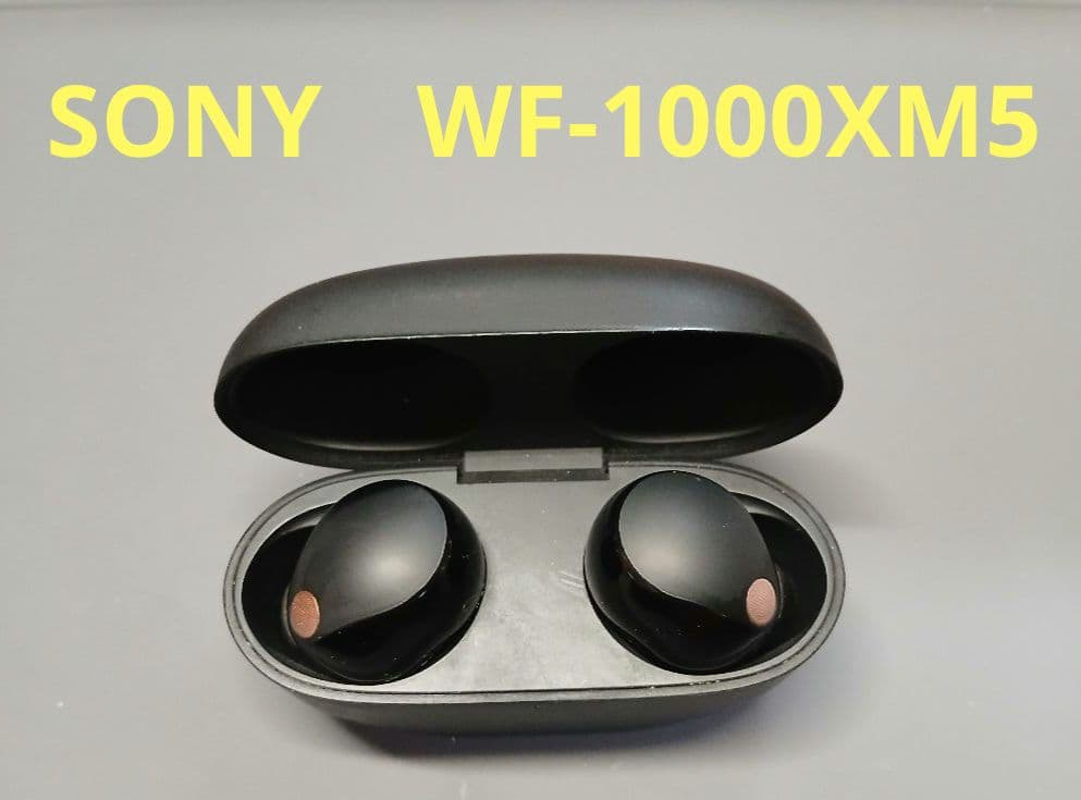 SONY　WF-1000XM5　ワイヤレス　ノイズキャンセリング　イヤホン