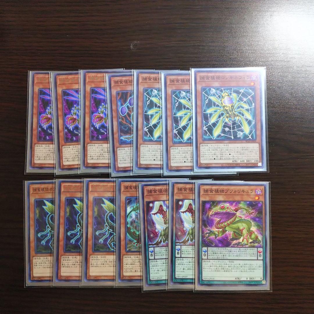 遊戯王【捕食植物】デッキ スリーブ付.