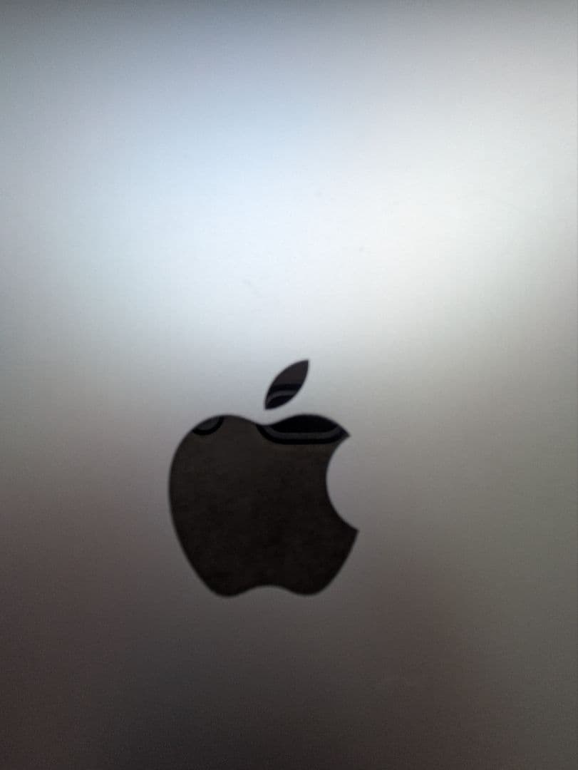 【箱・付属品完備】MacBook Air 2020 　512GB スペースグレイ