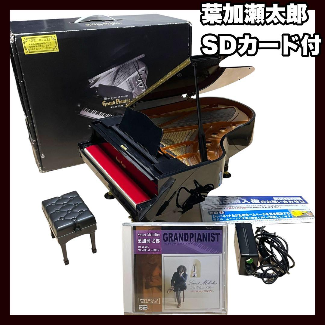 SEGATOYS グランドピアニスト 葉加瀬太郎さんのSDカード付属
