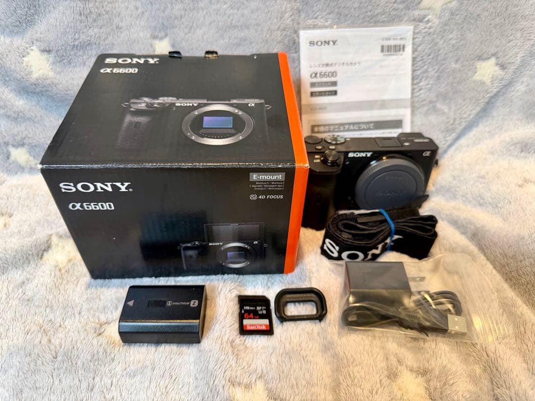 SONY α6600 ミラーレス一眼 本体・付属品一式 元箱付 中古美品