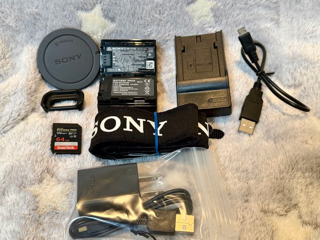 SONY α6600 ミラーレス一眼 本体・付属品一式 元箱付 中古美品