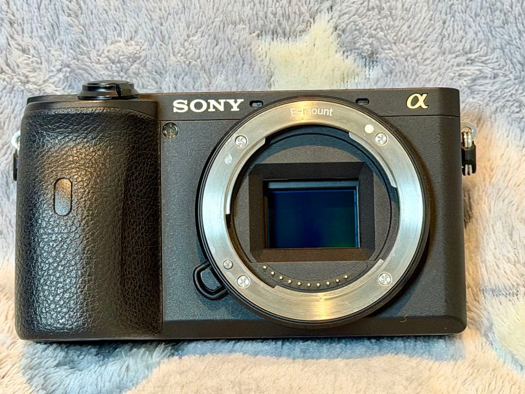 SONY α6600 ミラーレス一眼 本体・付属品一式 元箱付 中古美品