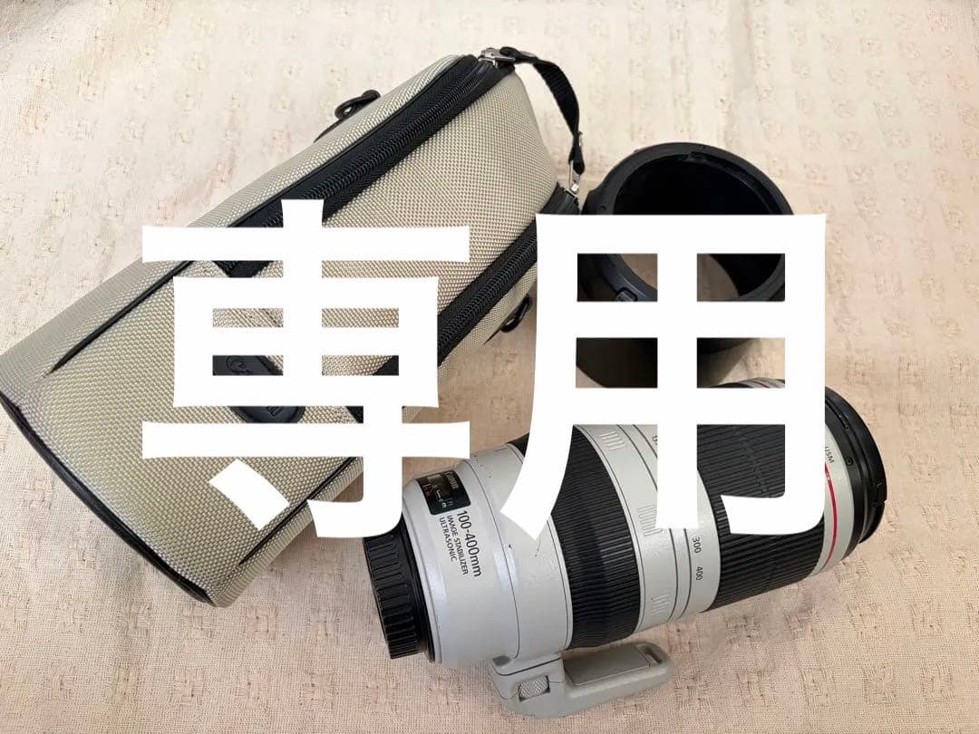 専用 Canon EF100-400mm F4.5-5.6L IS II USM