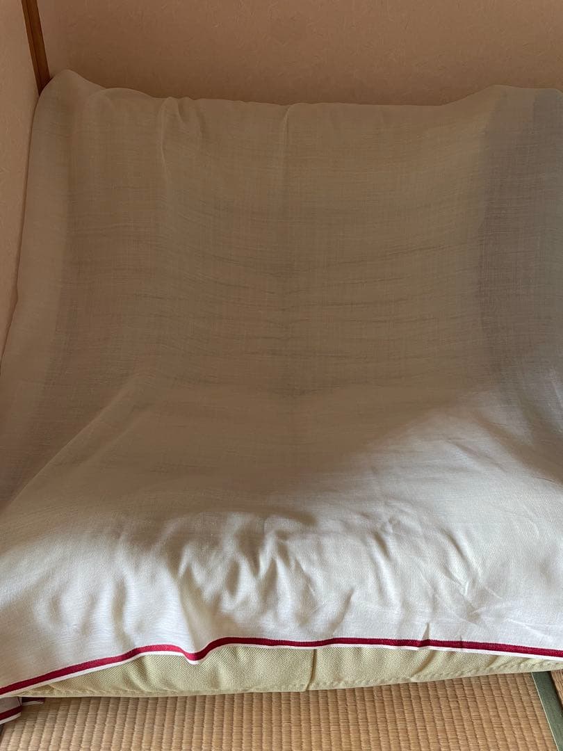 ligne roset トーゴ　ライトグリーンソファ