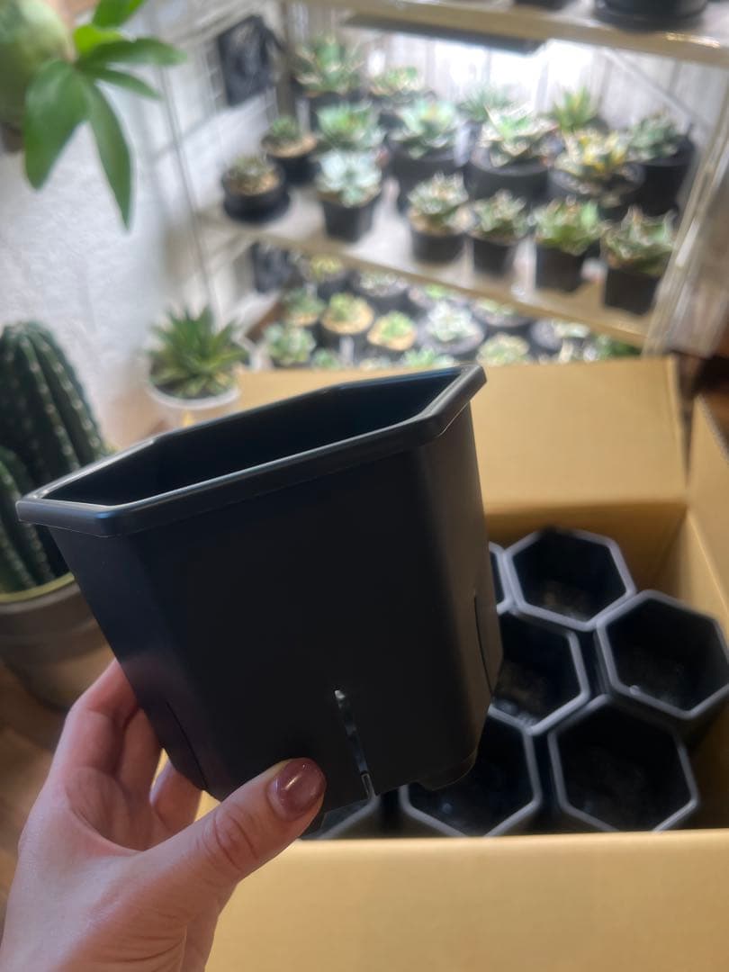 【専用】HexaPot （ヘキサポット）5号 サイズ 20個セットスリット鉢 鉢