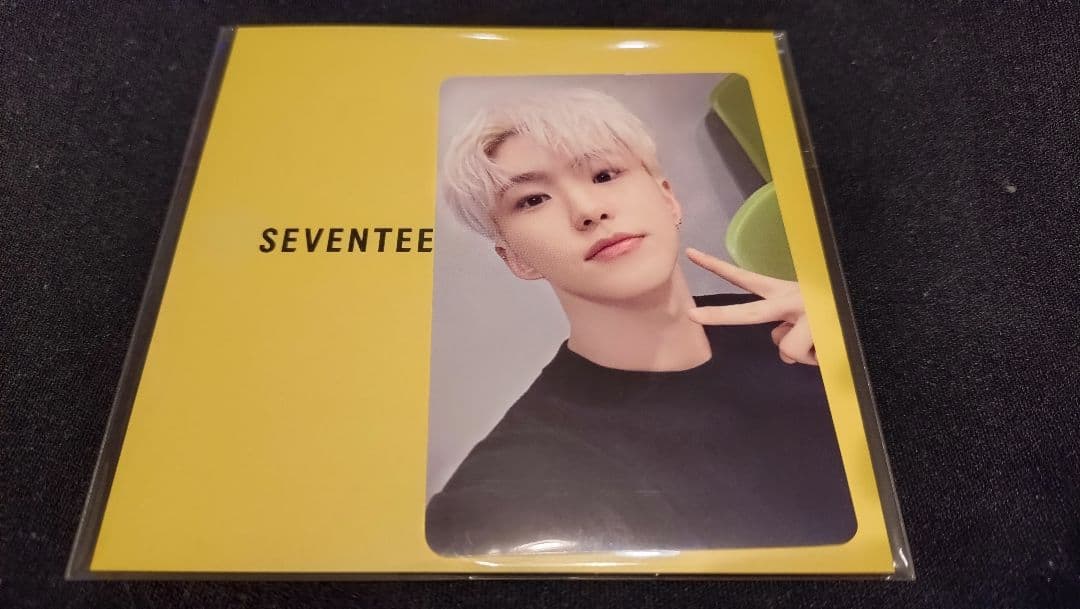 SEVENTEEN ホシ BE@RBRICK 400% トレカのみ