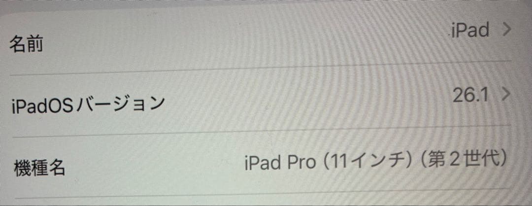 iPad Pro11インチ 第2世代 256GB Wi-Fi 美品 最新OS