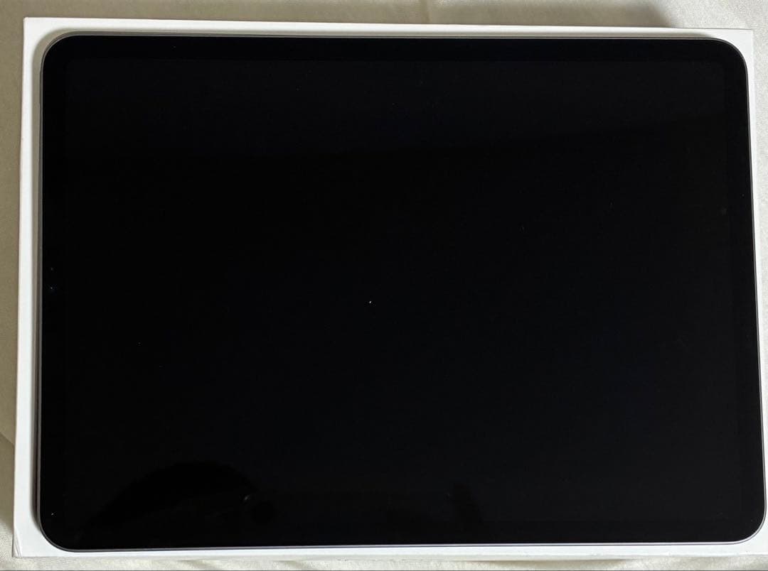 iPad Pro11インチ 第2世代 256GB Wi-Fi 美品 最新OS
