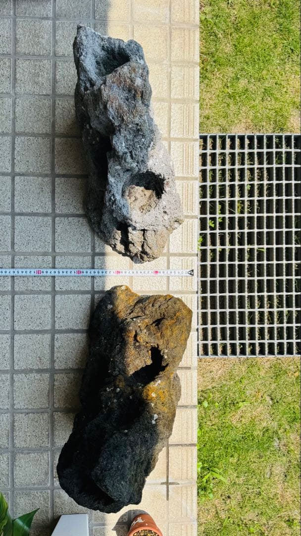 ADA 雲山石 特寸サイズ 2個セット