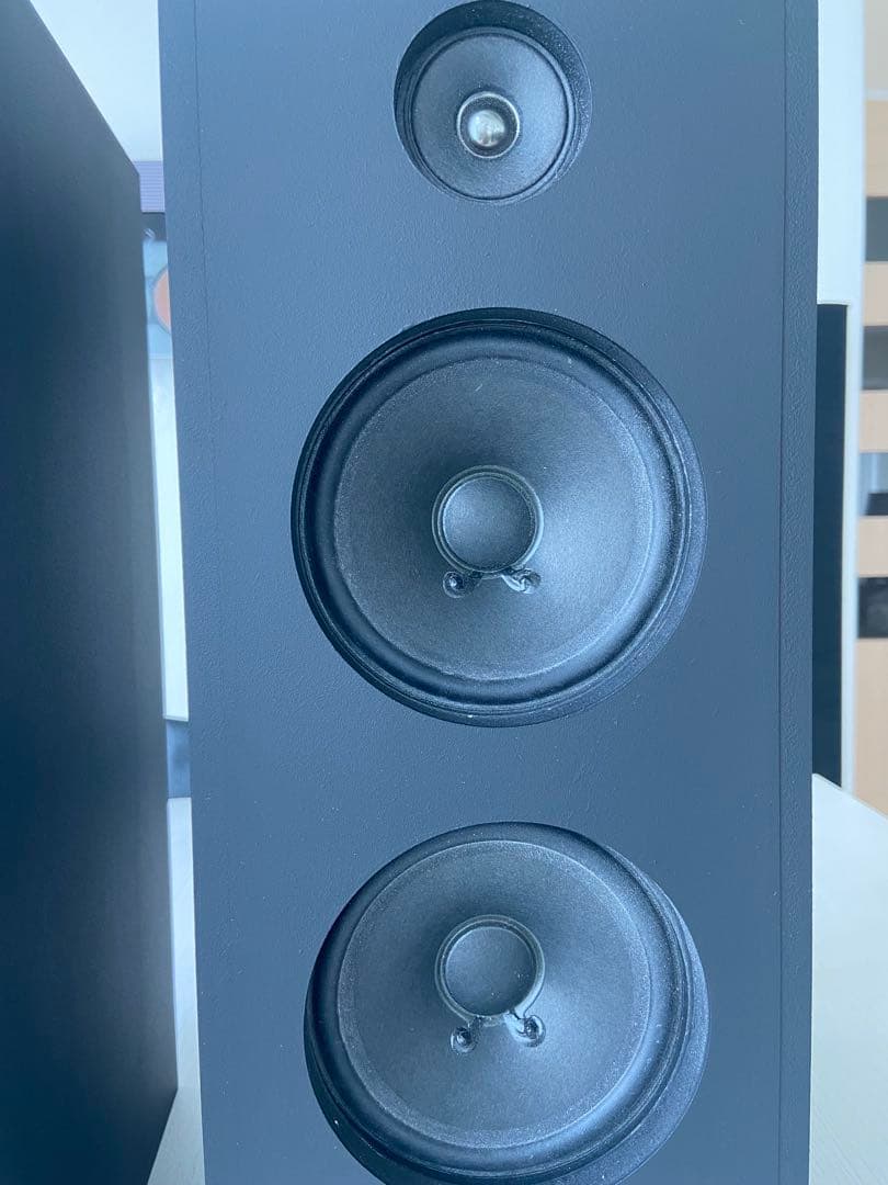 自作フルレンジ2発バックロードホーンスピーカー