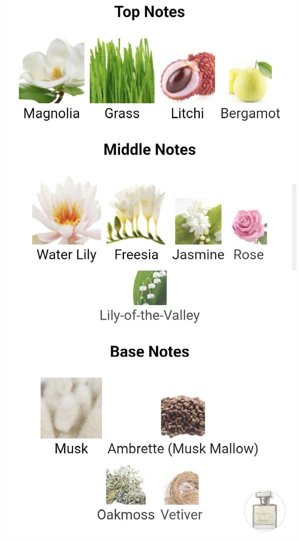 香水(ユニセックス) Sampaquita Ormonde Jayne 50ml.