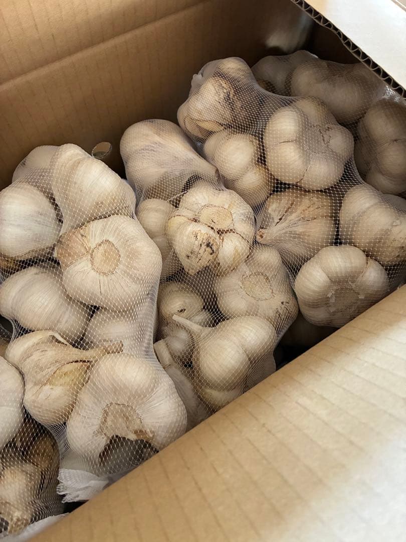 新物　青森県にんにく10Kg Ｌ　加工オススメ