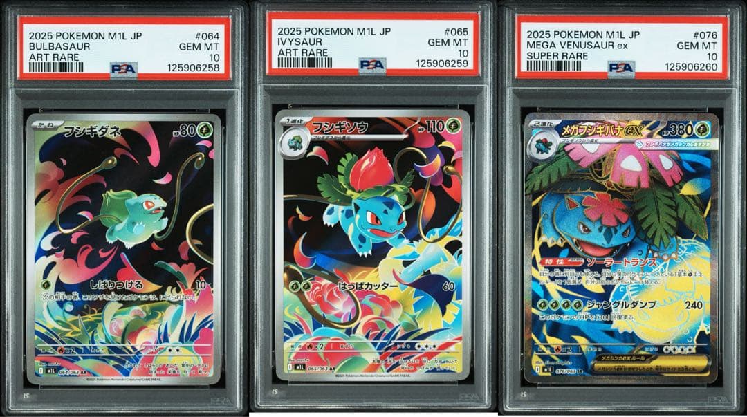 3連番！ フシギダネ フシギソウ AR メガフシギバナex SR【PSA10】