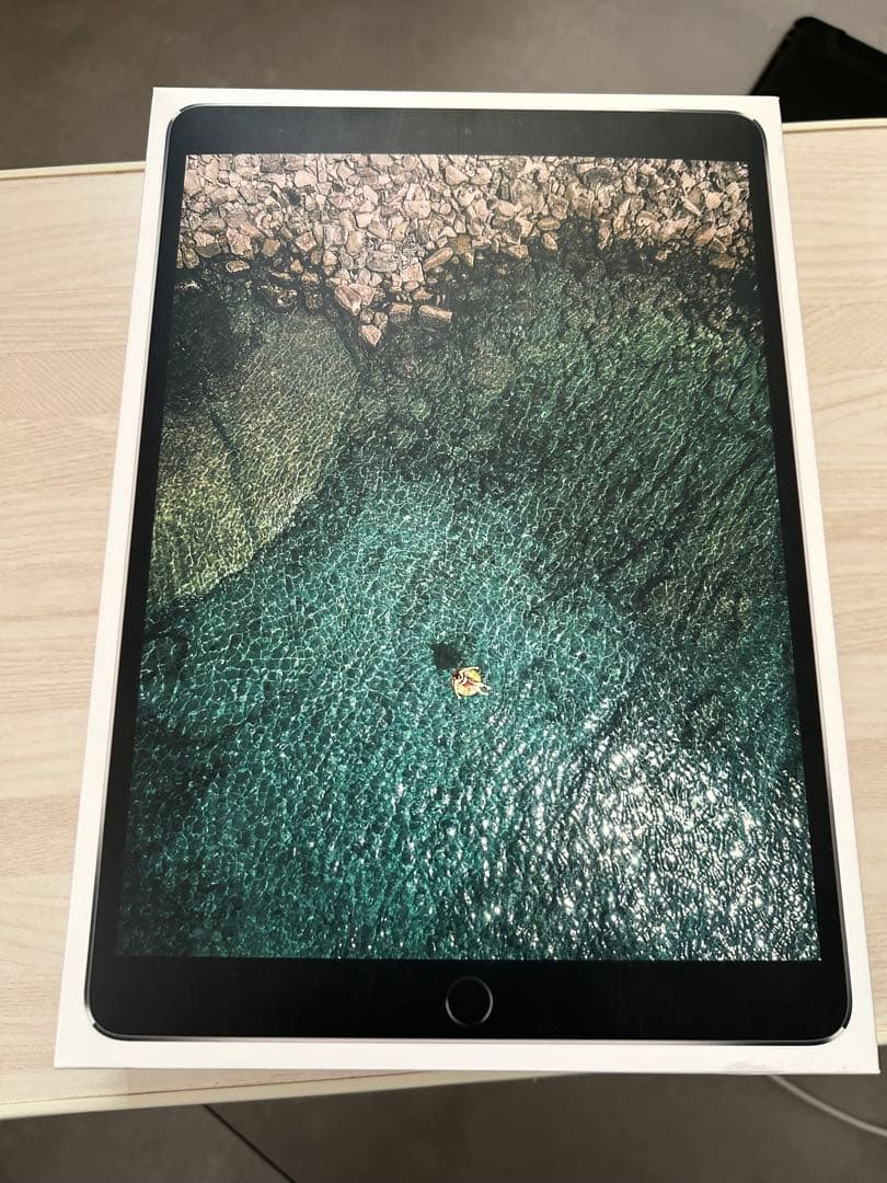 ipad pro 10.5インチ 64GB wife接続のみ