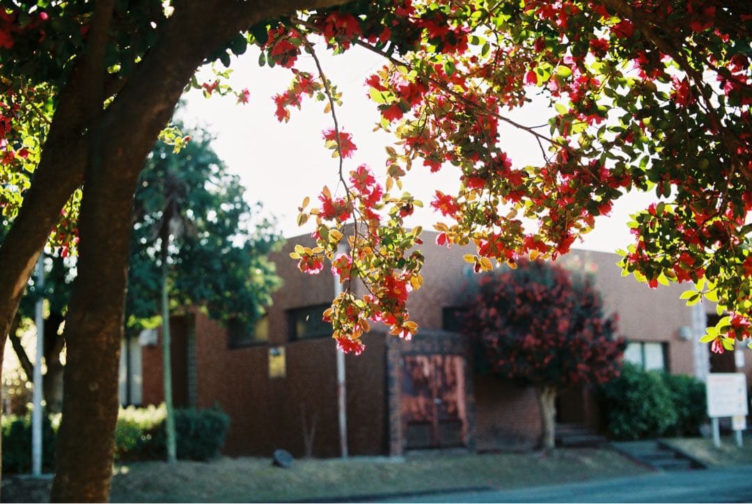 Nikon F2 おまけ付き