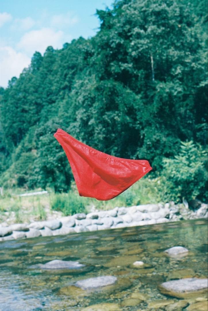 Nikon F2 おまけ付き